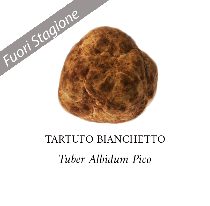Tartufo-Bianchetto-Fuori-Stagione-812-800