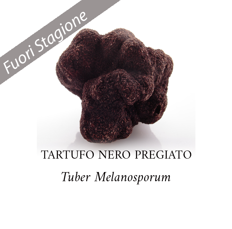 Tartufo-Nero-Pregiato-Fuori-Stagione-812-800
