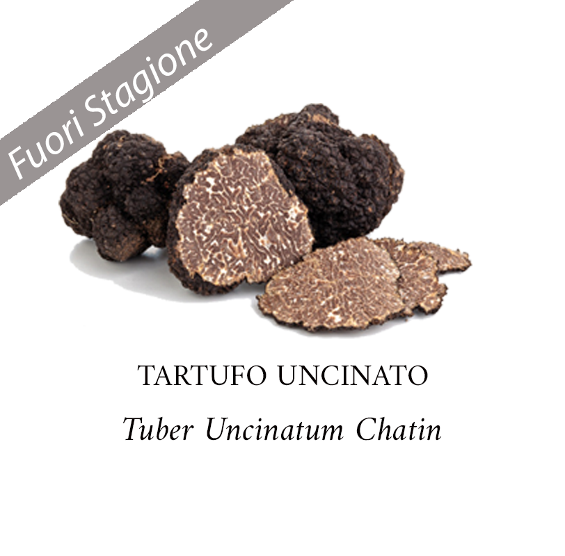 Tartufo Nero Uncinato